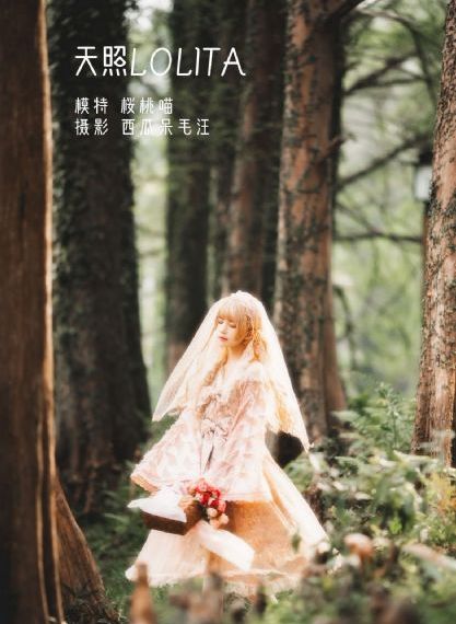 免费看动漫的网站_DVD高清在线